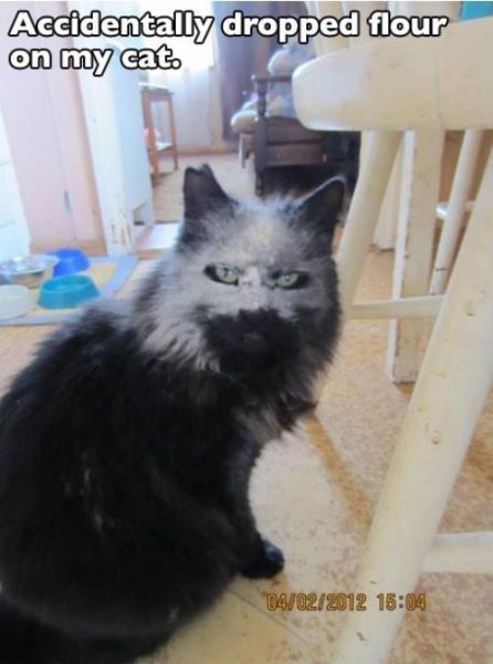 Bildschirmarbeiter - Picdump 30.11.2012