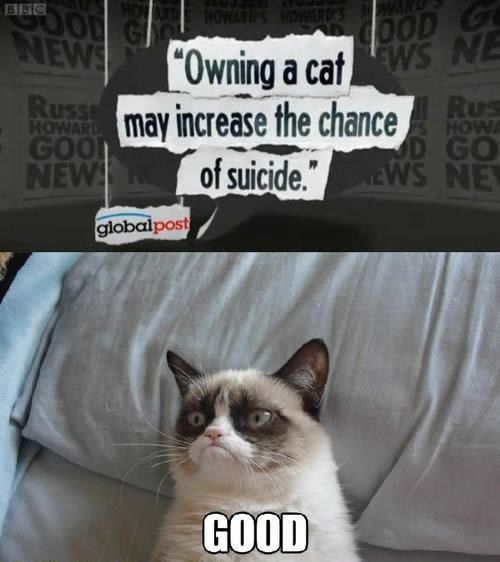 Bildschirmarbeiter - Picdump 30.11.2012