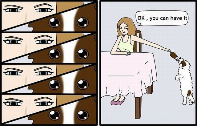 Bildschirmarbeiter - Picdump 30.11.2012