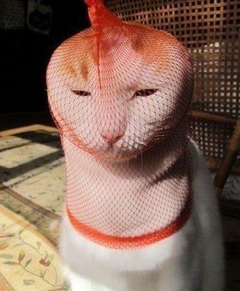 Bildschirmarbeiter - Picdump 30.11.2012