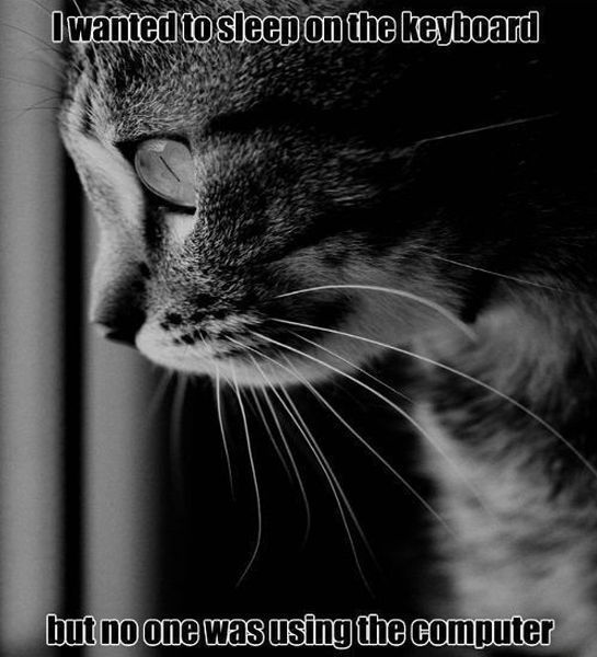 Bildschirmarbeiter - Picdump 30.11.2012