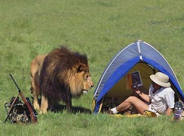 Bildschirmarbeiter - Picdump 30.11.2012