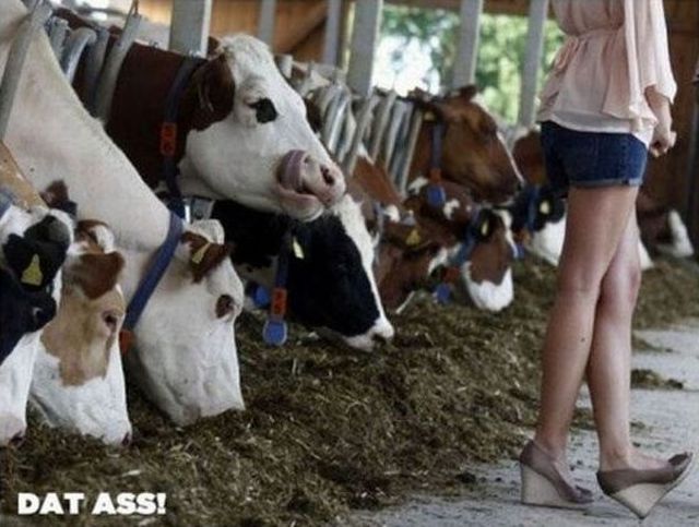 Bildschirmarbeiter - Picdump 30.11.2012