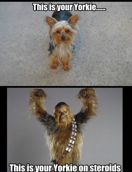 Bildschirmarbeiter - Picdump 30.11.2012