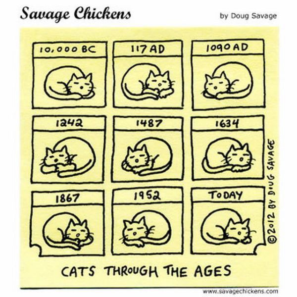 Bildschirmarbeiter - Picdump 30.11.2012