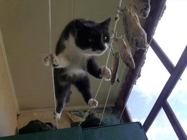 Bildschirmarbeiter - Picdump 14.12.2012