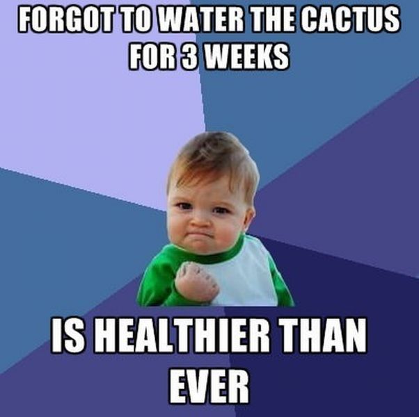 Bildschirmarbeiter - Picdump 14.12.2012