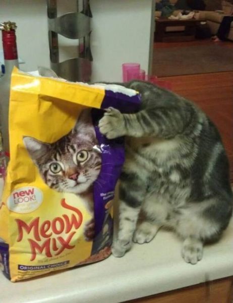 Bildschirmarbeiter - Picdump 14.12.2012