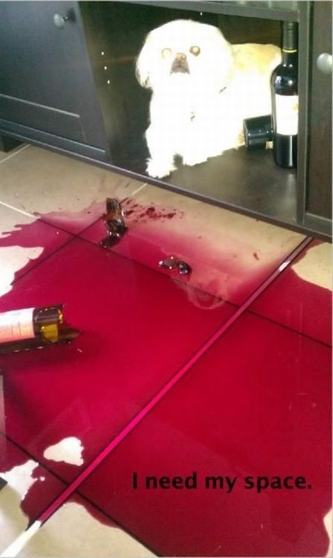 Bildschirmarbeiter - Picdump 14.12.2012