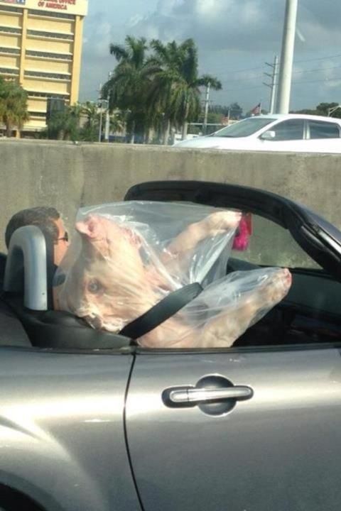 Bildschirmarbeiter - Picdump 14.12.2012