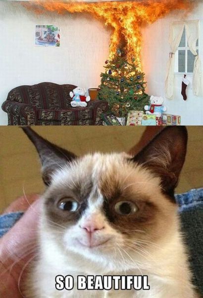 Bildschirmarbeiter - Picdump 14.12.2012