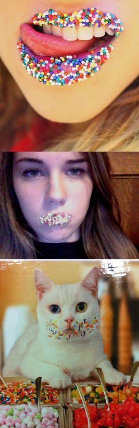 Bildschirmarbeiter - Picdump 14.12.2012