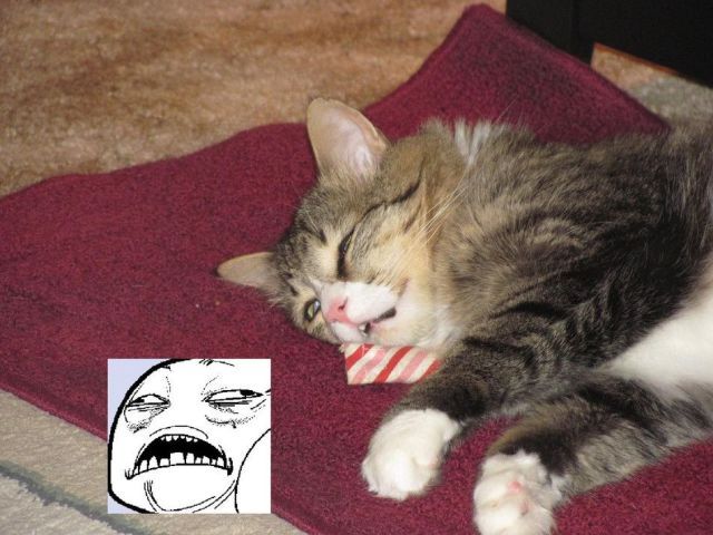 Bildschirmarbeiter - Picdump 14.12.2012