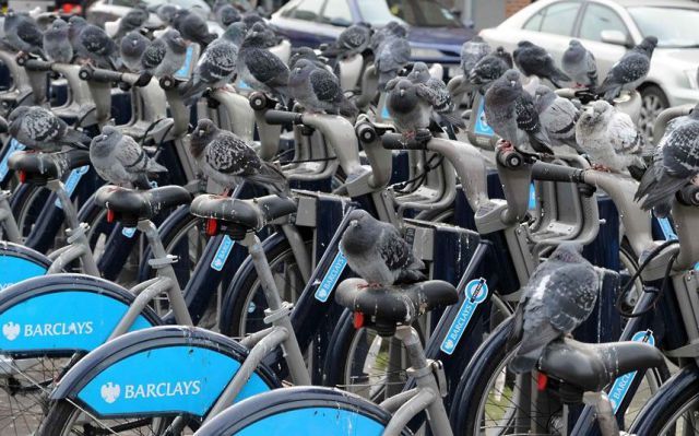 Bildschirmarbeiter - Picdump 14.12.2012