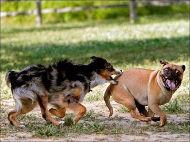 Bildschirmarbeiter - Picdump 14.12.2012