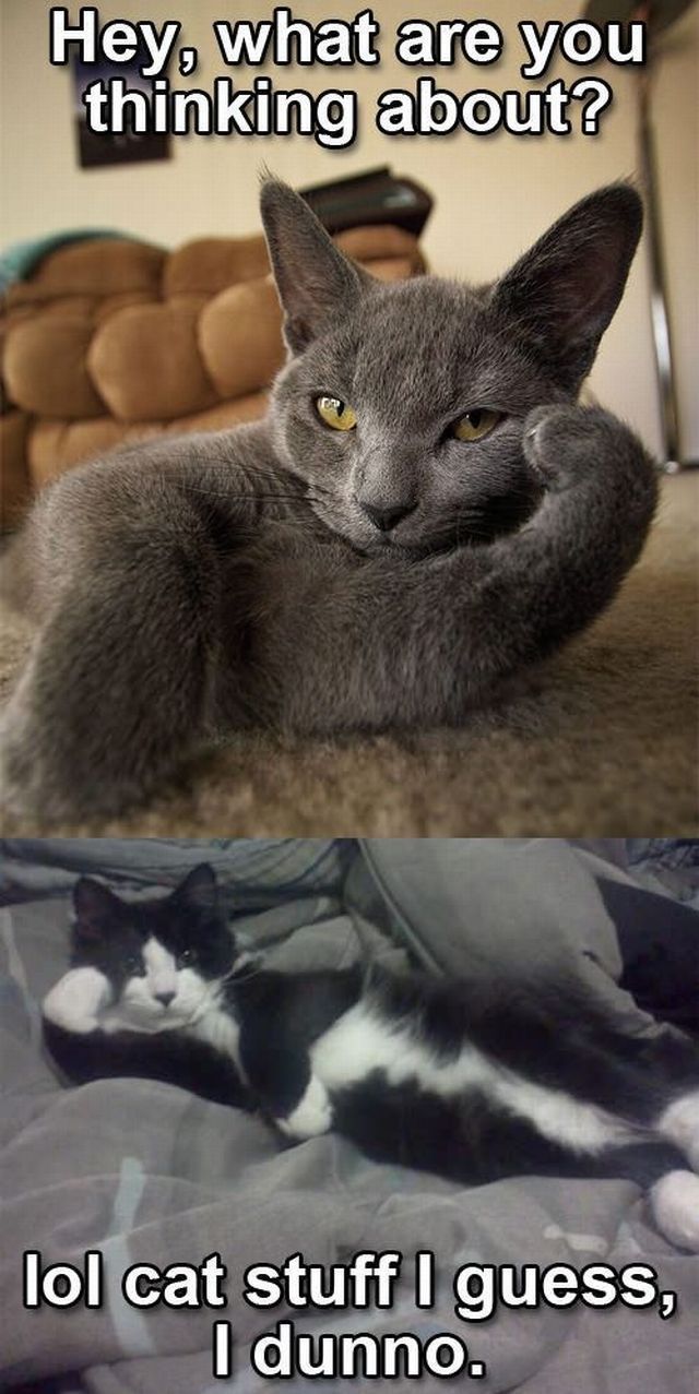 Bildschirmarbeiter - Picdump 14.12.2012