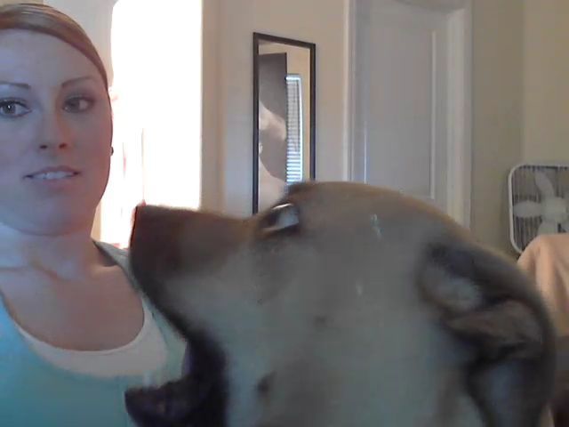 Bildschirmarbeiter - Picdump 21.12.2012