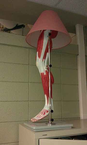 Bildschirmarbeiter - Picdump 21.12.2012