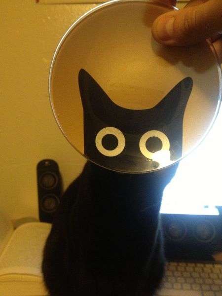 Bildschirmarbeiter - Picdump 21.12.2012