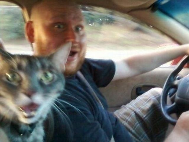 Bildschirmarbeiter - Picdump 21.12.2012