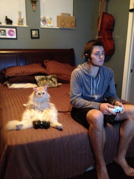 Bildschirmarbeiter - Picdump 21.12.2012