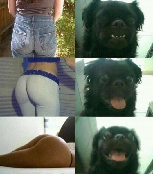 Bildschirmarbeiter - Picdump 21.12.2012