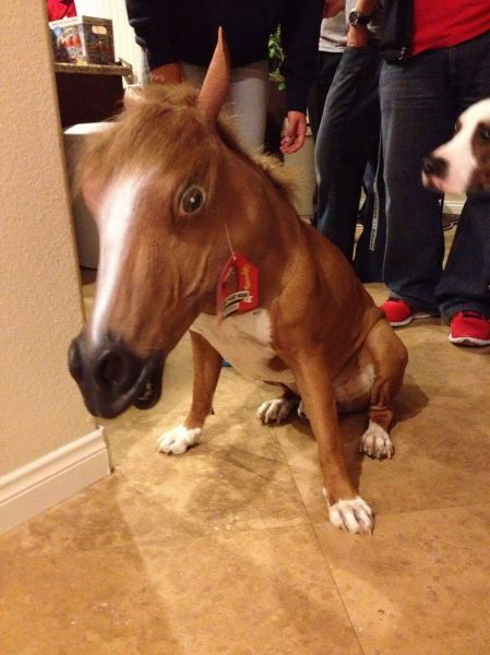 Bildschirmarbeiter - Picdump 21.12.2012