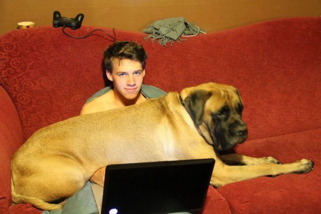 Bildschirmarbeiter - Picdump 21.12.2012