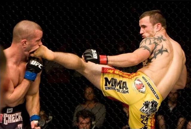 Bildschirmarbeiter - Picdump 21.12.2012