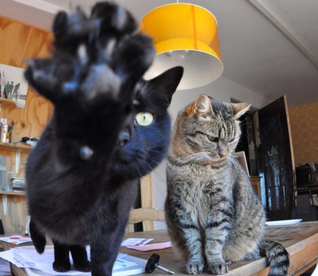 Bildschirmarbeiter - Picdump 21.12.2012