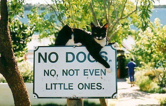 Bildschirmarbeiter - Picdump 21.12.2012