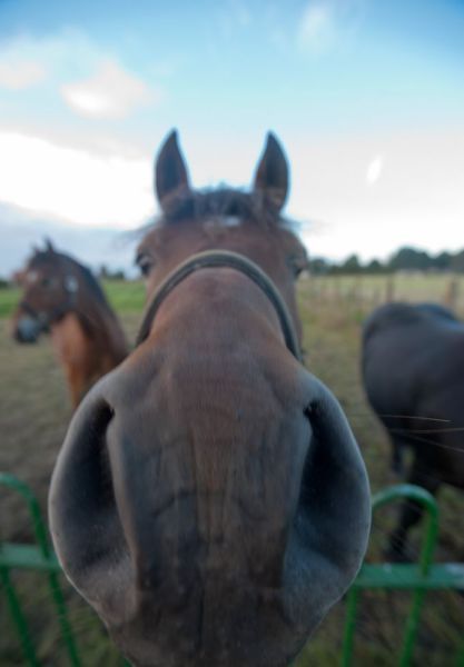 Bildschirmarbeiter - Picdump 28.12.2012