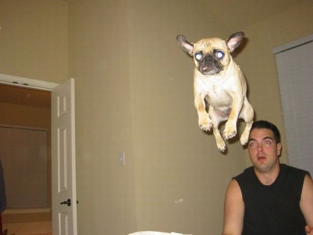 Bildschirmarbeiter - Picdump 28.12.2012