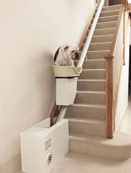 Bildschirmarbeiter - Picdump 28.12.2012