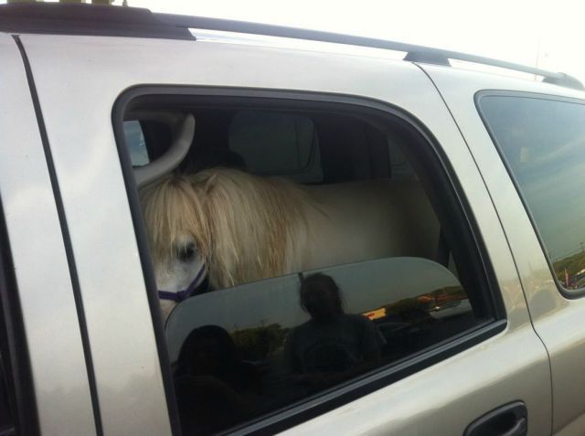 Bildschirmarbeiter - Picdump 28.12.2012