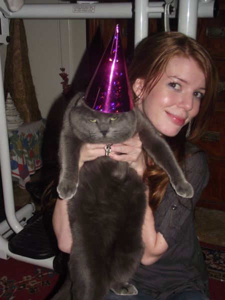 Bildschirmarbeiter - Picdump 28.12.2012