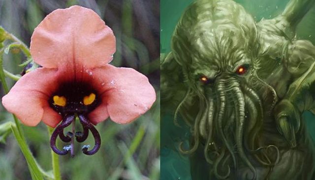 Bildschirmarbeiter - Picdump 28.12.2012