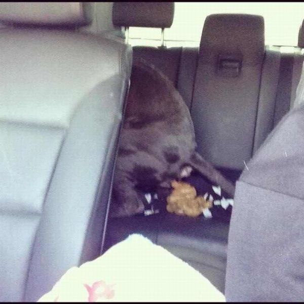 Bildschirmarbeiter - Picdump 28.12.2012