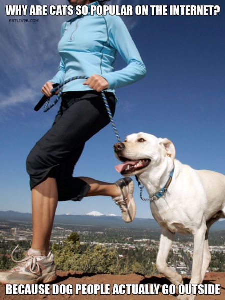 Bildschirmarbeiter - Picdump 28.12.2012