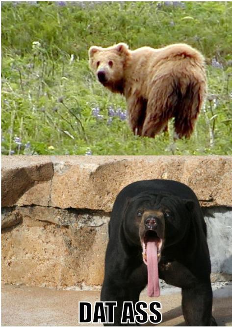 Bildschirmarbeiter - Picdump 28.12.2012