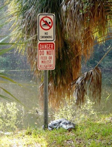 Bildschirmarbeiter - Picdump 28.12.2012