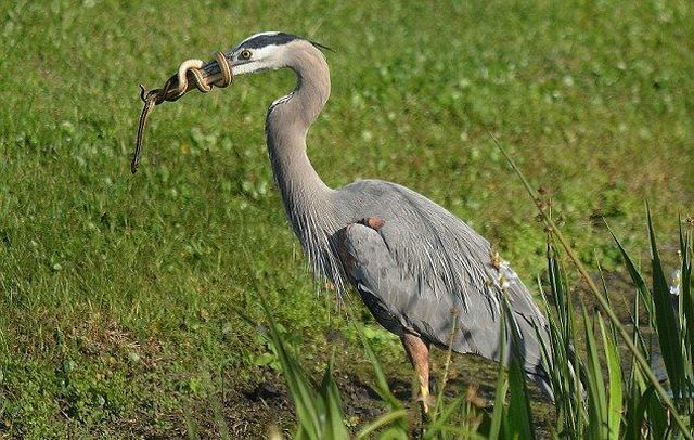 Bildschirmarbeiter - Picdump 28.12.2012