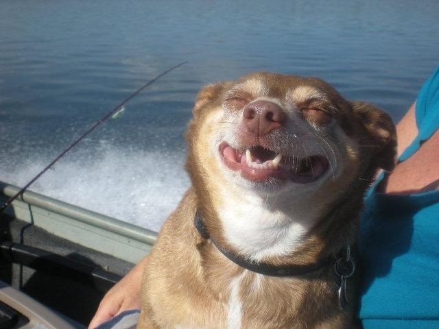 Bildschirmarbeiter - Picdump 04.01.2013