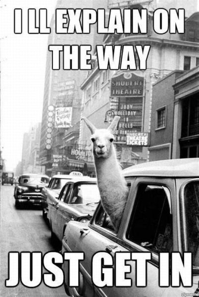 Bildschirmarbeiter - Picdump 04.01.2013