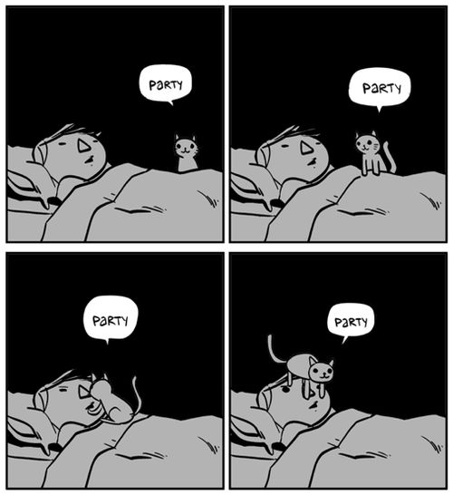 Bildschirmarbeiter - Picdump 04.01.2013