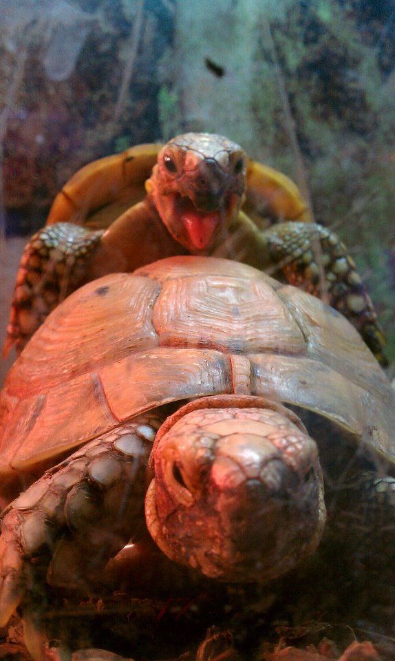 Bildschirmarbeiter - Picdump 04.01.2013