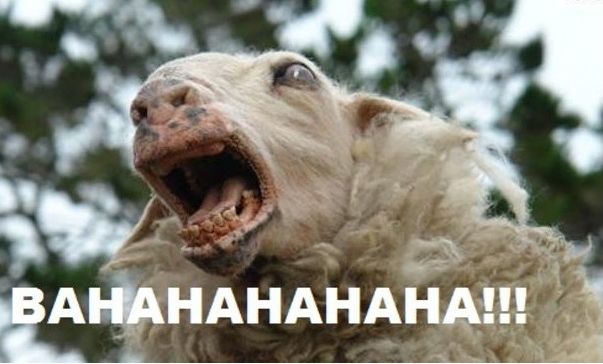 Bildschirmarbeiter - Picdump 04.01.2013