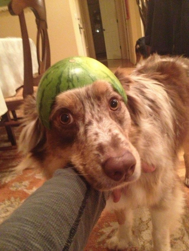 Bildschirmarbeiter - Picdump 04.01.2013