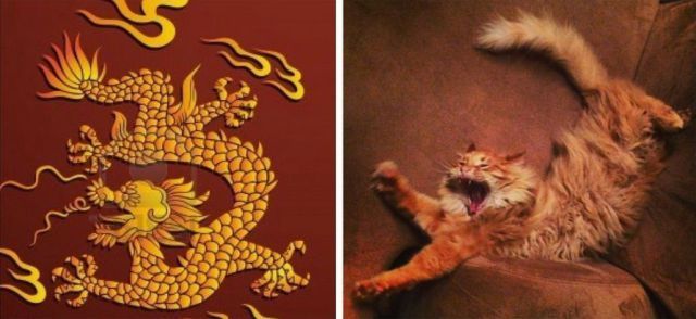 Bildschirmarbeiter - Picdump 11.01.2013