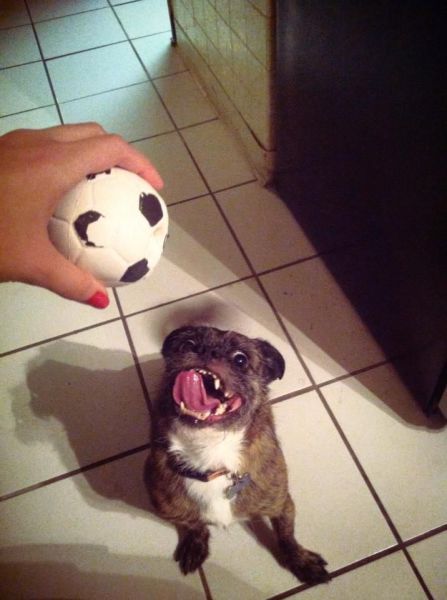 Bildschirmarbeiter - Picdump 11.01.2013